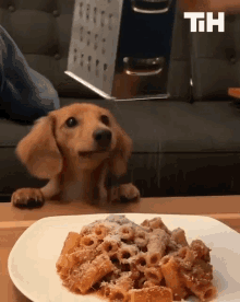 Hungry This Is Happening GIF