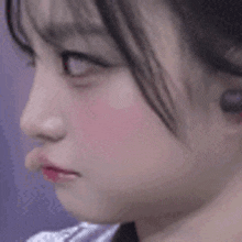 a close up of a woman 's face with a slight smile on it .