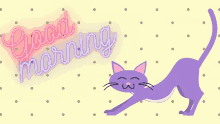Good Morning Kitten Stretch GIF - Good Morning Kitten Stretch Littlec0c0 GIFs