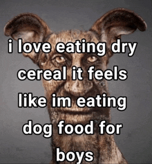Dry Cereal GIF - Dry Cereal GIFs