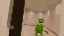 Pokój Wytrzeźwień Kermit GIF - Pokój Wytrzeźwień Kermit Marson GIFs