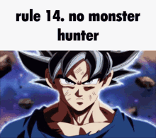 Rule14 Goku GIF