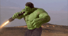 Hulk 2003 GIF - Hulk 2003 Ang Lee GIFs
