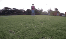 Fly Flying GIF - Fly Flying Testing Drone GIFs