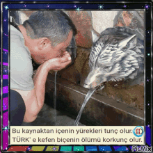 Boz Qurd Türk GIF - Boz Qurd Türk Kefen GIFs