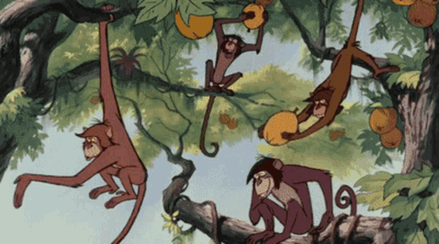Welcome To The Jungle Stinky Monkey GIF - Welcome To The Jungle Stinky  Monkey Le Monkey - Discover & Share GIFs 