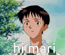 Shinji Mari GIF - Shinji Hi Mari GIFs