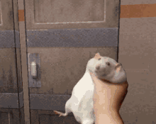 Ratatouille Duke Nukem GIF - Ratatouille Duke Nukem Rat GIFs