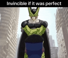 invincible if it was perfect is written on a picture of a cartoon character