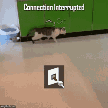 Memes Cat GIF - Memes Cat Connection Interrupted GIFs