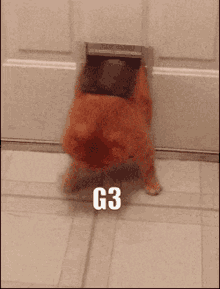 Aq G3 GIF