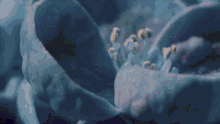 a close up of a blue flower with a lot of petals