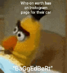 Baggedbert Instagram GIF - Baggedbert Instagram GIFs