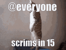 Scrims Scrims In15 GIF - Scrims Scrims In15 15 GIFs
