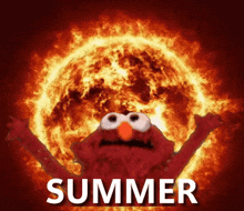 elmo is standing in front of a burning sun and the word summer is written below him