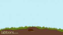 Plant Growth Stages GIF