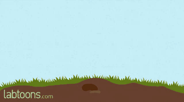 Plant Growth Stages GIF - Plant Growth Stages Life - Discover & Share GIFs