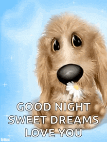 a dog is holding a flower in its mouth and saying good night sweet dreams love you .