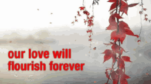 Love Flourish GIF - Love Flourish Forever GIFs