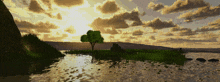 a tree on a small island in the middle of a body of water at sunset