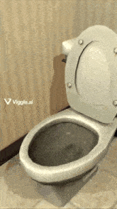 a toilet with the lid up and the words " viggle.ai " in the corner
