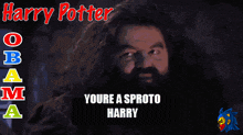 Sproto Harrypotterobama GIF - Sproto Harrypotterobama Harry Potter GIFs