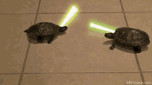 Jedi Lightsabers GIF - Jedi Lightsabers Turtles GIFs