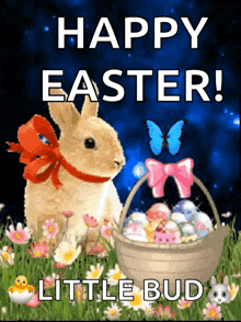 a picture of a bunny and a basket of easter eggs with the words happy easter little bud
