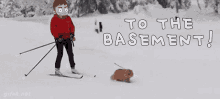 basement dweller basement cat ski