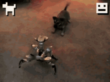 Puppy Vs. Robot! Epic Battle For Territorial Domination! GIF - Puppy Dog Robot GIFs