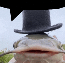 Fish Gentleman GIF - Fish Gentleman Top Hat GIFs