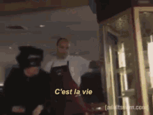 Cest La Vie Ericandre GIF - Cest La Vie Ericandre Cat Burglar GIFs