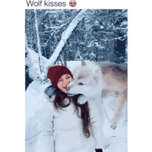 animals cute aww wolf kisses