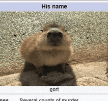 Gort GIF - Gort GIFs