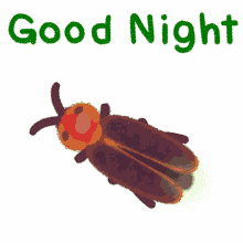 good night tired sleepy sleep firefly