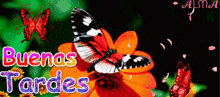 a butterfly on a flower with the words buenas tardes in the background