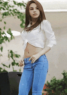 GIF