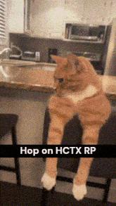 Hctx Rp GIF