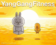 Yang Gang Fitness Yoga GIF
