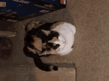 Trouble Taking A Rest GIF