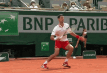 Novak Djokovic Fall GIF