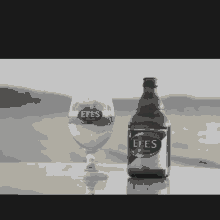 Scr Efes GIF - Scr Efes Beer GIFs