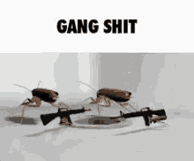 Pissyourpantsaggresively Gang GIF - Pissyourpantsaggresively Gang Shit GIFs
