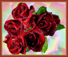 Trandafiri GIF - Trandafiri GIFs