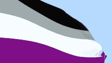 asexual asexual pride lgbt lgbtqia asexual pride flag