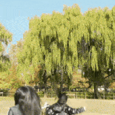 two women are standing in front of a large tree