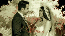 a bride and groom are standing in front of a tree with the words ask me mavi written on the bottom