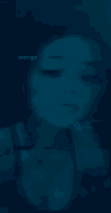 Wenge Lgbtq GIF