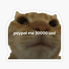 Bglamours Paypal Me 30000 Usd GIF