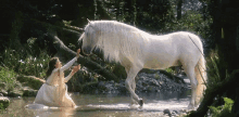 Settle Unicorn GIF - Settle Unicorn Can I Touch You GIFs